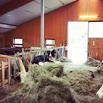 Biobauernhof Brandlhof * Ramsau am Dachstein