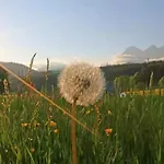 Biobauernhof Brandlhof Ramsau am Dachstein