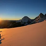Biobauernhof Brandlhof Ramsau am Dachstein
