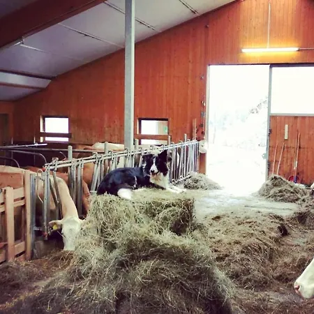 Biobauernhof Brandlhof * Ramsau am Dachstein