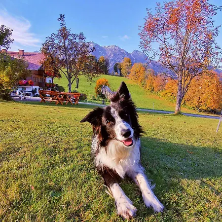 アパート Biobauernhof Brandlhof