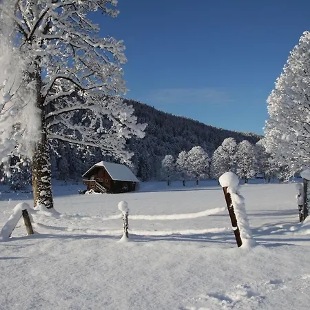 Biobauernhof Brandlhof アパート