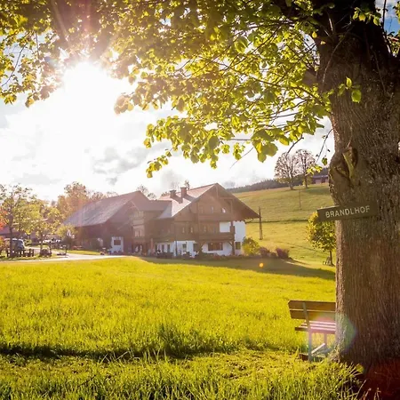 Apartmán Biobauernhof Brandlhof *
