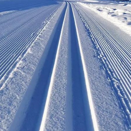 Διαμέρισμα Biobauernhof Brandlhof Ramsau am Dachstein