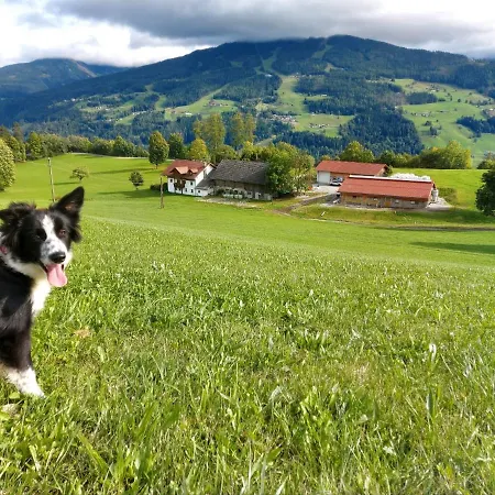 Biobauernhof Brandlhof * Ramsau am Dachstein