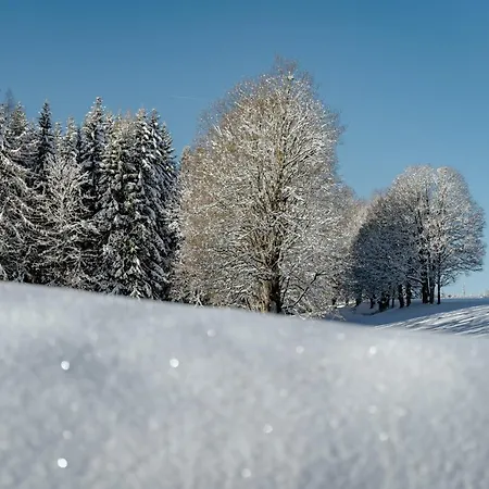 Biobauernhof Brandlhof