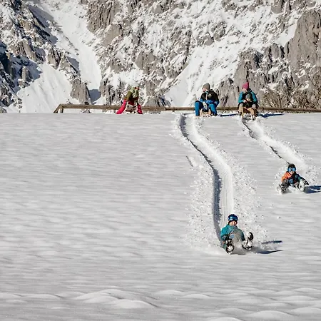 Biobauernhof Brandlhof Апартаменти Рамзау-ам-Дахштайн