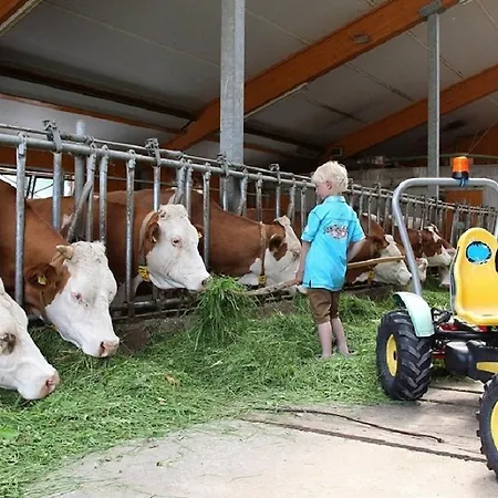 Apartmán Biobauernhof Brandlhof