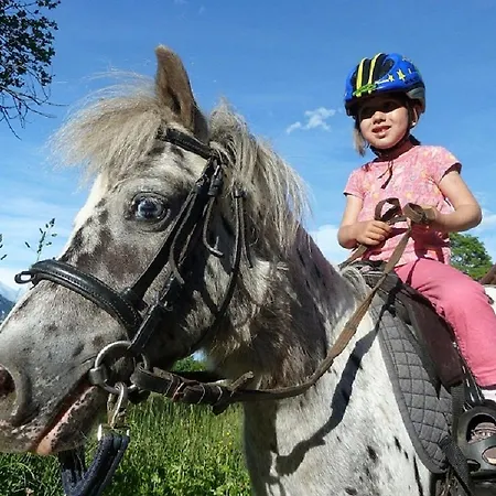 Apartmán Biobauernhof Brandlhof Ramsau am Dachstein