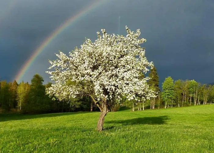 Biobauernhof Brandlhof Апартаменти Рамзау-ам-Дахштайн