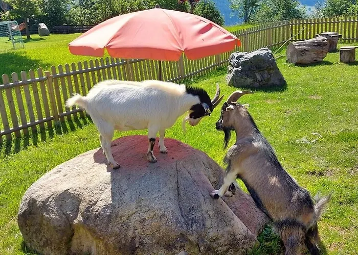 Biobauernhof Brandlhof Апартаменти Рамзау-ам-Дахштайн