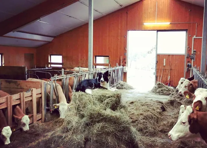 Biobauernhof Brandlhof * Ramsau am Dachstein
