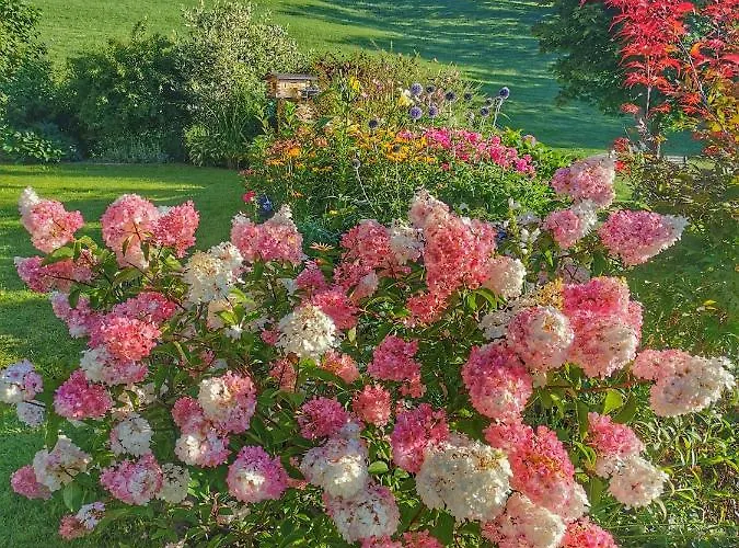 Biobauernhof Brandlhof *