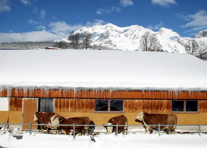 Biobauernhof Brandlhof Apartment *