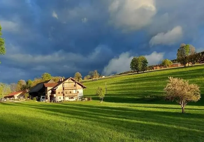 Апартаменти Biobauernhof Brandlhof *