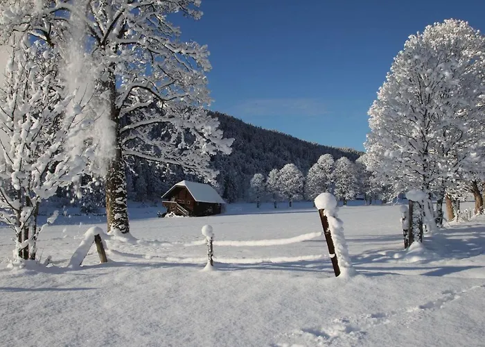 Biobauernhof Brandlhof Апартаменти