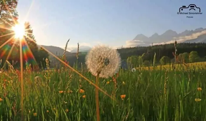 Biobauernhof Brandlhof Рамзау-ам-Дахштайн