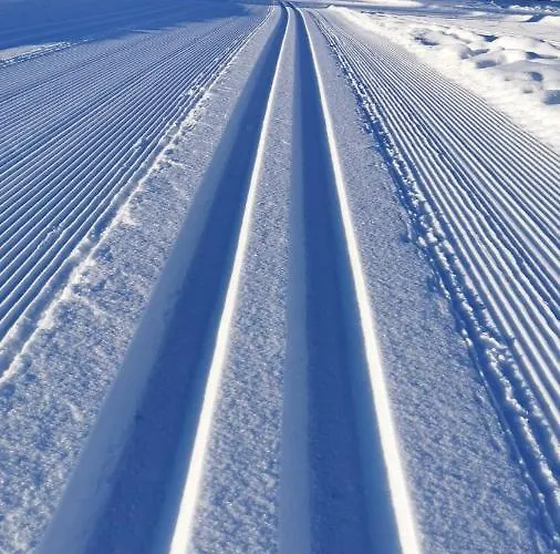 Apartment Biobauernhof Brandlhof Ramsau am Dachstein