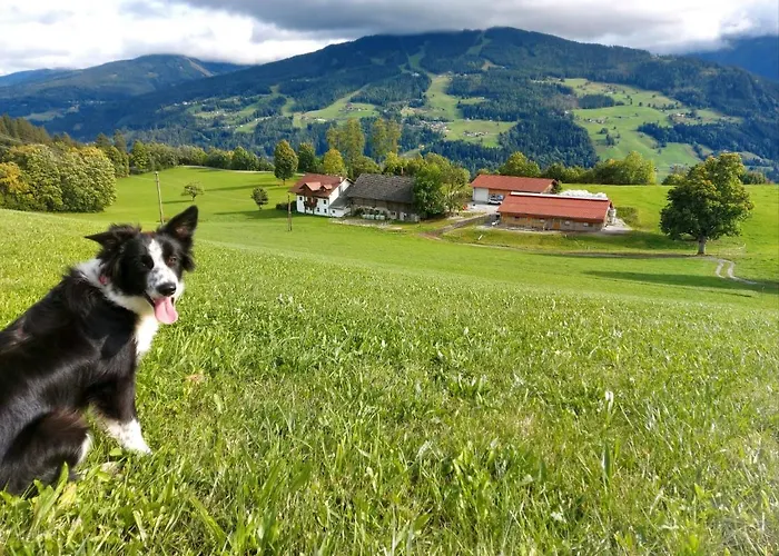 Biobauernhof Brandlhof * Рамзау-ам-Дахштайн
