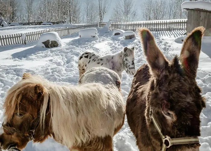 Biobauernhof Brandlhof Рамзау-ам-Дахштайн