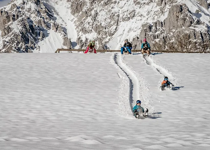 Biobauernhof Brandlhof Апартаменти Рамзау-ам-Дахштайн