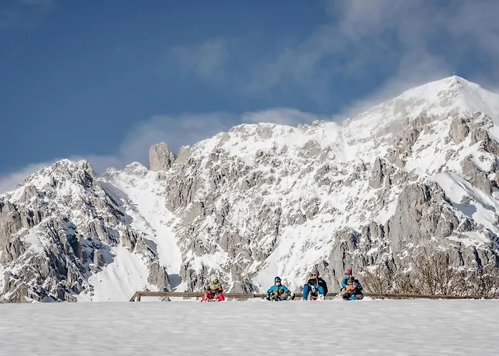 Biobauernhof Brandlhof *