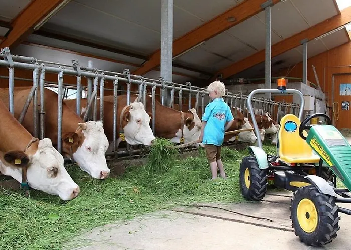 Apartment Biobauernhof Brandlhof