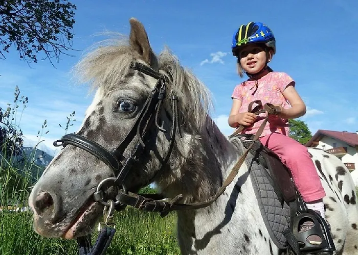 Apartment Biobauernhof Brandlhof Ramsau am Dachstein