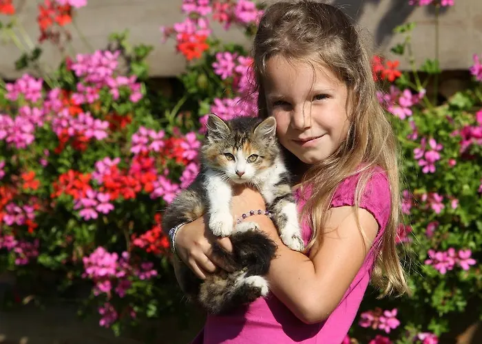 Biobauernhof Brandlhof Рамзау-ам-Дахштайн