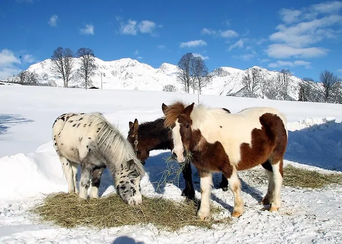 Апартаменти Biobauernhof Brandlhof Рамзау-ам-Дахштайн