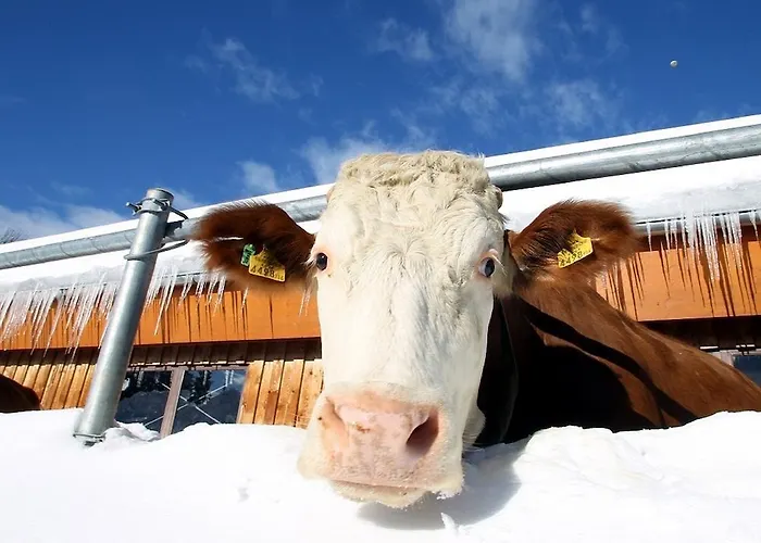 Апартаменти Biobauernhof Brandlhof *